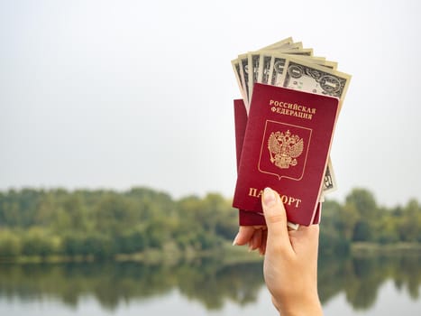 A foreign passport and dollars in your hand, against the background of nature. Filmed outdoors.