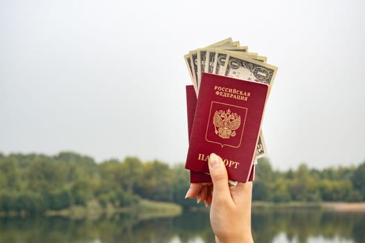 A foreign passport and dollars in your hand, against the background of nature. Filmed outdoors.