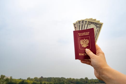 A foreign passport and dollars in your hand, against the background of nature. Filmed outdoors.