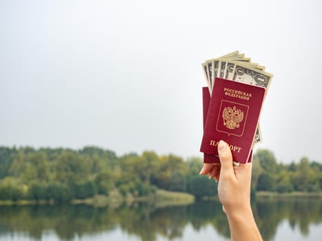 A foreign passport and dollars in your hand, against the background of nature. Filmed outdoors.