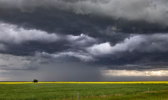 Prairie Storm Clouds Canada Saskatchewan Dramatic Summer