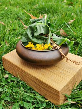 ikebana from dandelion flowers and dry branches in a clay vase on the grass.