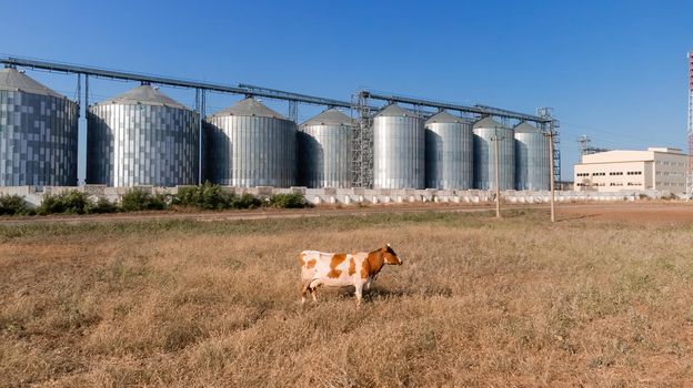 Grain elevator. Metal grain elevator in agricultural zone. Agriculture storage for harvest. Grain elevators on green nature background. Exterior of agricultural factory
