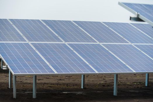 Ecological green energy. solar panels plant mounted on the ground