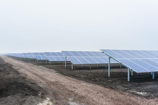 Ecological green energy. solar panels plant mounted on the ground