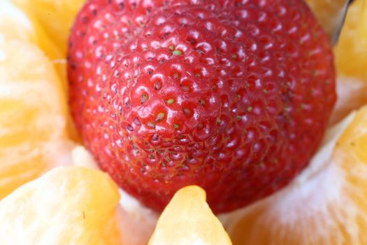 Macro Close Up Fruit Strawberry red macro photo