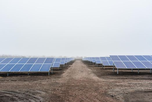 Ecological green energy. solar panels plant mounted on the ground