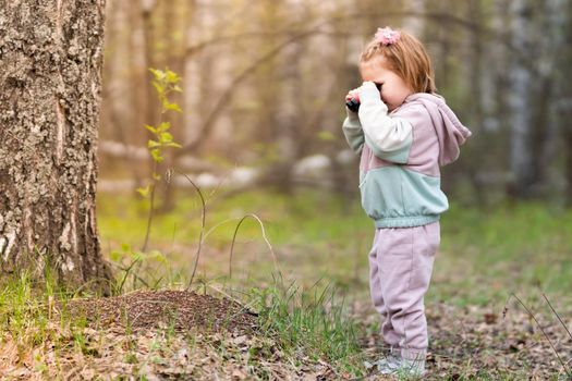 a girl in a birch grove has come up to an anthill and is watching ants with children's binoculars. She does not come close, so as not to disturb the insects. she is very interested in the world of small living creatures