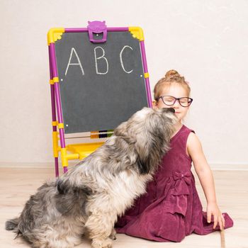 a little girl teacher in a dress and glasses sits on the floor near the blackboard and shows her dog. Pet does not want to learn and licks her mistress