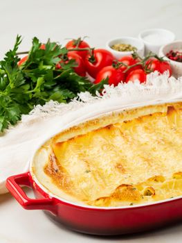 Cannelloni with filling of ricotta and parsley, baked with béchamel sauce, side view, vertical