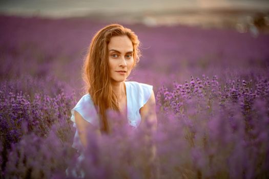 A beautiful girl in a white dress and loose hair on a lavender field. Beautiful woman in a lavender field at sunset. Soft Focus.