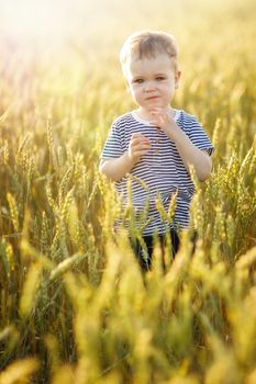Cute boy in a striped T-shirt is posing quietly in a golden rye field. Evening sunlight beautifully illuminates the ear of rye.