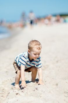 A little boy in a striped shirt, crawling on the beach sand, he learns to walk.