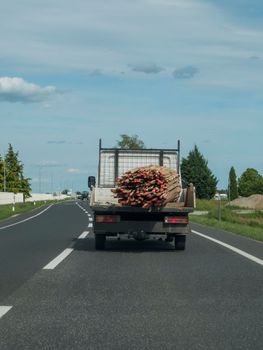 Truck with unsafe cargo on the road. Possibility  of loosing cargo. Risk transport of goods.