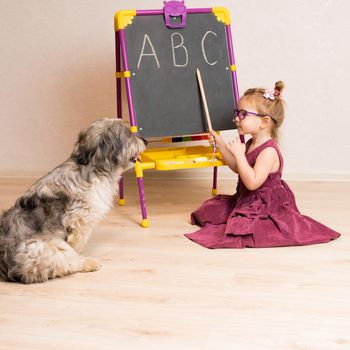 a little girl teacher in a dress and glasses is sitting on the floor near the blackboard. She was very tired. She shows the dog English letters from the alphabet. She smiles and looks at the camera