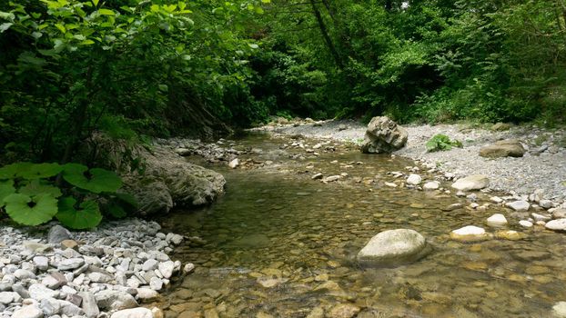 Mountain river among large stones in a green forest with small waterfalls. Sochi, Lazarevskoe, Berendeevo Tsarstvo, Russia