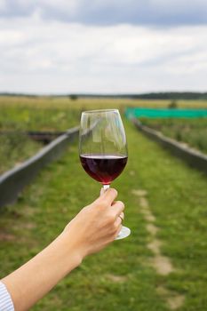 Girl holding a glass of red wine in her hands on the street, vineyards, farm