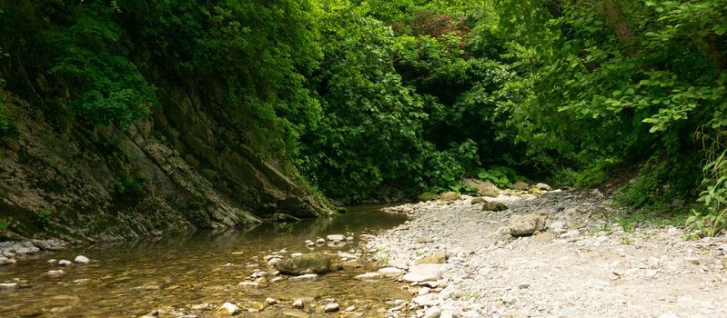 Mountain river among large stones in a green forest with small waterfalls. Sochi, Lazarevskoe, Berendeevo Tsarstvo, Russia