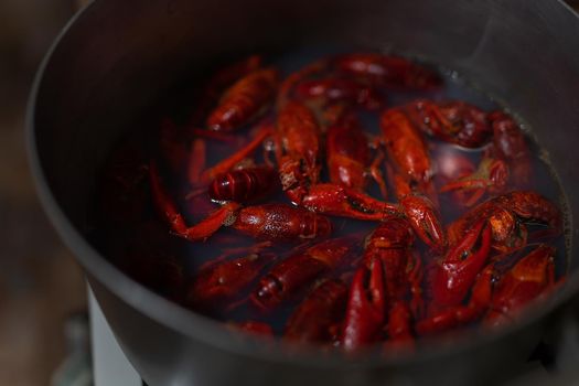 Red fresh appetizing crayfish are boiled in a saucepan. Crayfish for beer