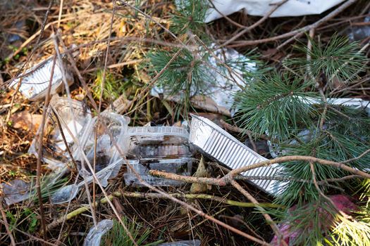 A lot of plastic disposable containers, waste lies in a thick layer in the wilderness, attracting birds and rodents. Environmental pollution