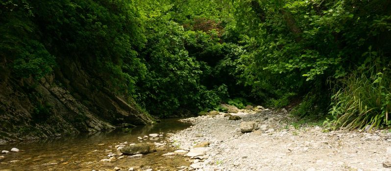 Mountain river among large stones in a green forest with small waterfalls. Sochi, Lazarevskoe, Berendeevo Tsarstvo, Russia