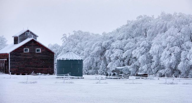 Winter Frost Saskatchewan Canada ice storm danger