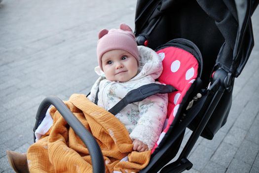 Baby in stroller on a walk in summer park. Adorable little boy in checkered shirt sitting in blue pushchair.Child in buggy