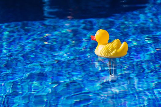 swimming pool water texture. Pool background with rubber duck floating. Yellow toy duck in the water. Natural light outside. Sunny day.
