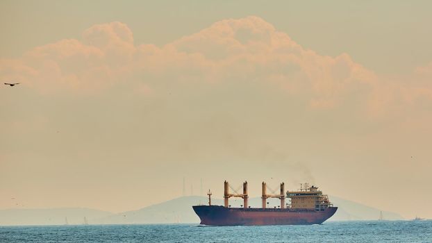Large cargo ship in in Bosphorus Strait, Istanbul, Turkey.