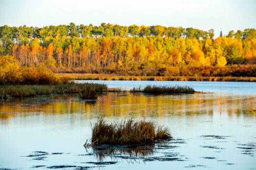 Autumn Northern Saskatchewan wilderness prestine rural scenic