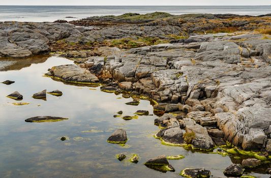 Norwegian seascape, rocky coast with dramatic skies, the coast is partially covered with grass, shallow at low tide, sheer cliffs, . High quality photo