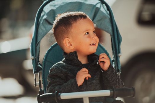 Sweet baby boy tow years old in a stroller bicycle outdoors. Little child in a pram. Infant kid in a pushchair. Spring walks with kids. High quality photo