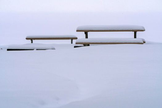 Waskesui in Prince Albert National Park Canada