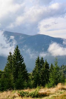 Landscapes of the Ukrainian Carpathians, a trip to the mountain ranges in Ukraine, the horizon is covered with clouds.