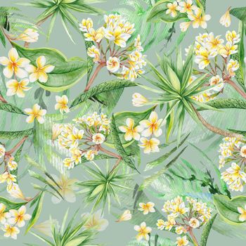 Travel hand-painted background with plumeria, frangipani flowers and yucca tree