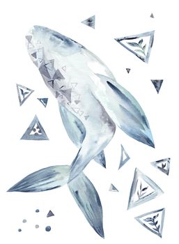 Large high-detailed hand-painted illustration with gray and blue cetus isolated on white background