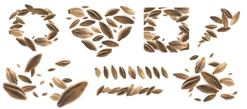 A set of photos. Barley malt grains levitate on a white background.