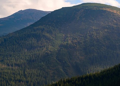 Beautiful landscapes of Ukraine, Chornohirskyy Carpathian ridge, overcast sky in the Carpathians.