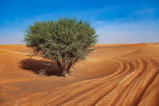 Natural travel dry hot hills with dunes