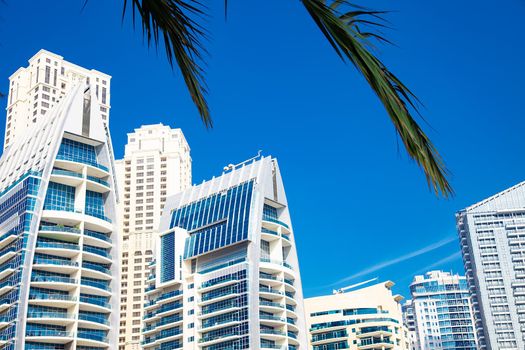 Dubai city architecture and tropical foliage view