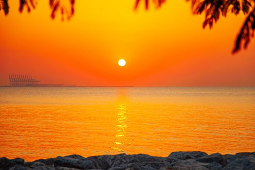 Beautiful view of sun, water and leaves silhouettes