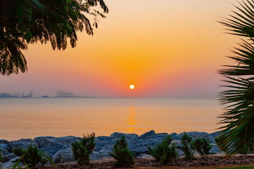 Beautiful view of sun, water and leaves silhouettes