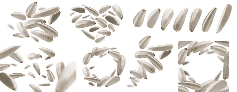 A set of photos. White sunflower seeds levitate on a white background.