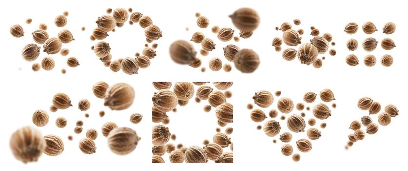 A set of photos. Coriander seeds levitate on a white background.