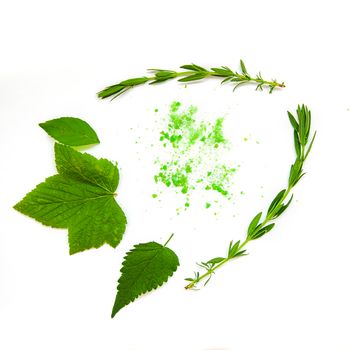 Healthy eco natural organic leaves design elements