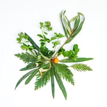 Healthy eco natural organic leaves design elements