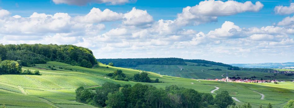 vineyards, villages and rolling hills in french countryside south of reims under blue sky in summer