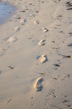 Footprints on beach background. A footprint of human feet on the sand near the sea