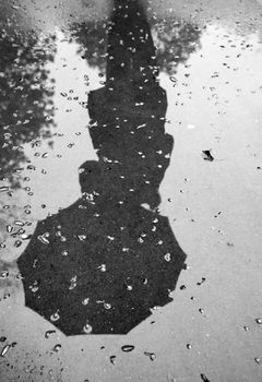 reflection of a woman with an umbrella on wet pavement during rain. Black and white. Vertical view