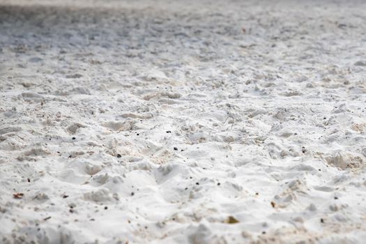 White tropical sand beach. The fine sand on the beach. Sand surface